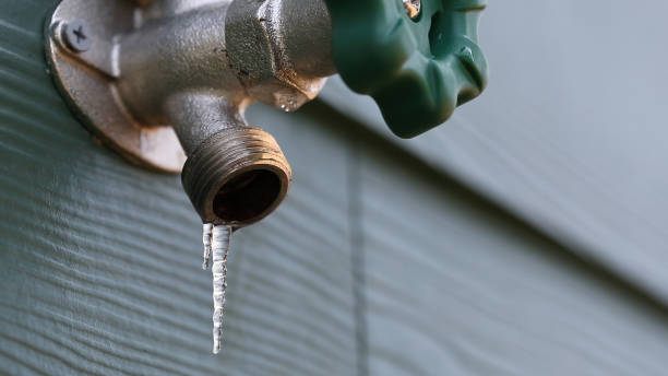 Best Plumbing Services Near Me  in Jarrell, TX